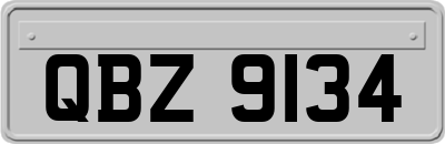 QBZ9134