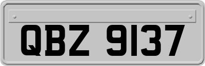 QBZ9137
