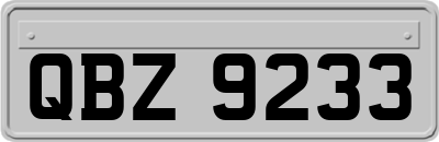 QBZ9233