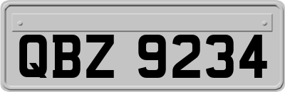 QBZ9234