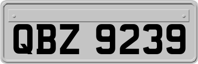QBZ9239