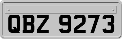 QBZ9273