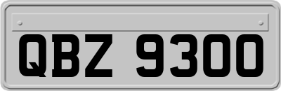 QBZ9300