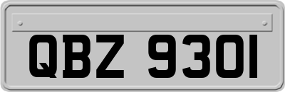 QBZ9301