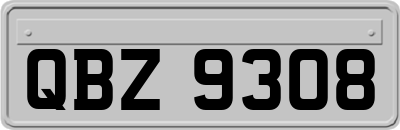 QBZ9308