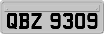 QBZ9309