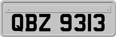 QBZ9313