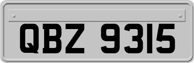 QBZ9315