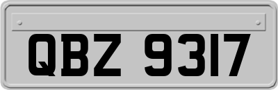 QBZ9317