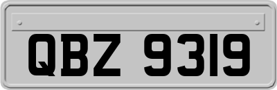 QBZ9319