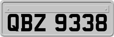 QBZ9338