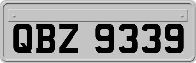 QBZ9339