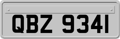 QBZ9341