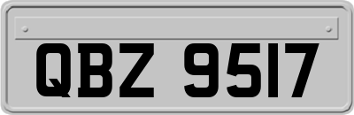 QBZ9517