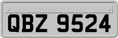 QBZ9524