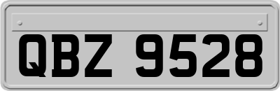 QBZ9528