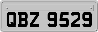 QBZ9529