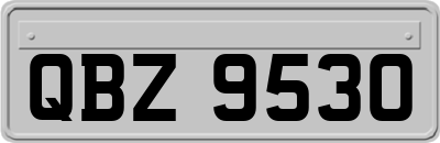 QBZ9530
