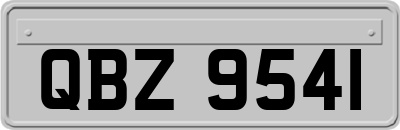 QBZ9541