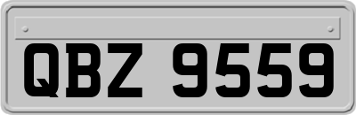 QBZ9559