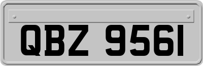 QBZ9561