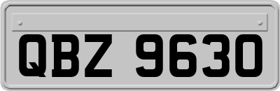 QBZ9630
