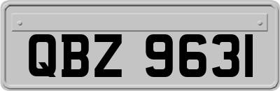 QBZ9631