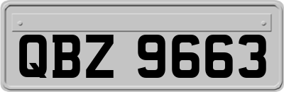 QBZ9663