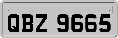 QBZ9665