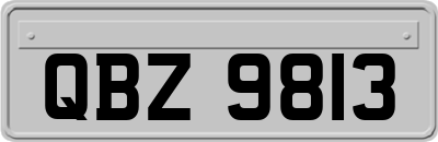 QBZ9813