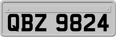 QBZ9824