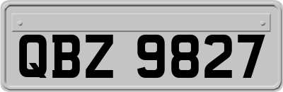 QBZ9827