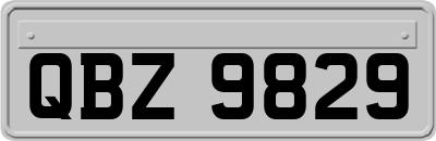 QBZ9829