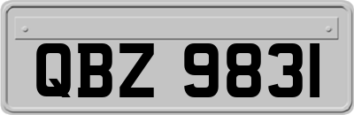 QBZ9831