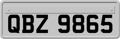 QBZ9865