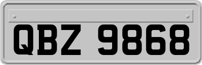 QBZ9868
