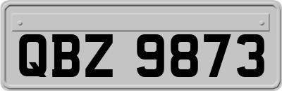 QBZ9873