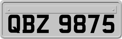 QBZ9875