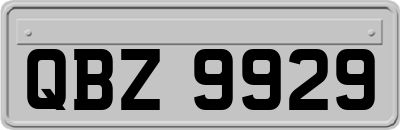 QBZ9929