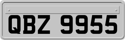 QBZ9955