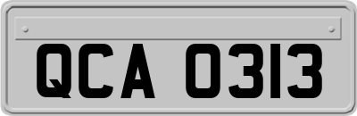 QCA0313