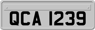 QCA1239