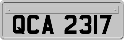QCA2317