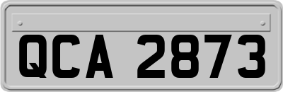 QCA2873