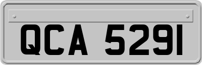QCA5291