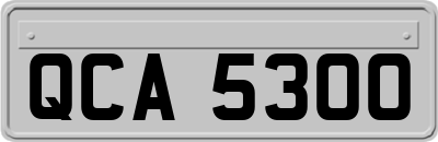 QCA5300