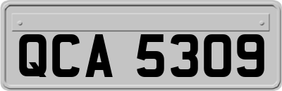 QCA5309