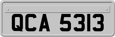 QCA5313
