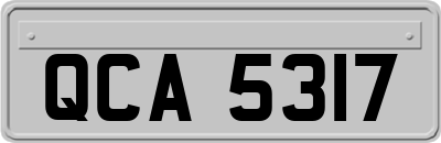 QCA5317