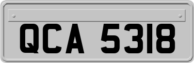 QCA5318